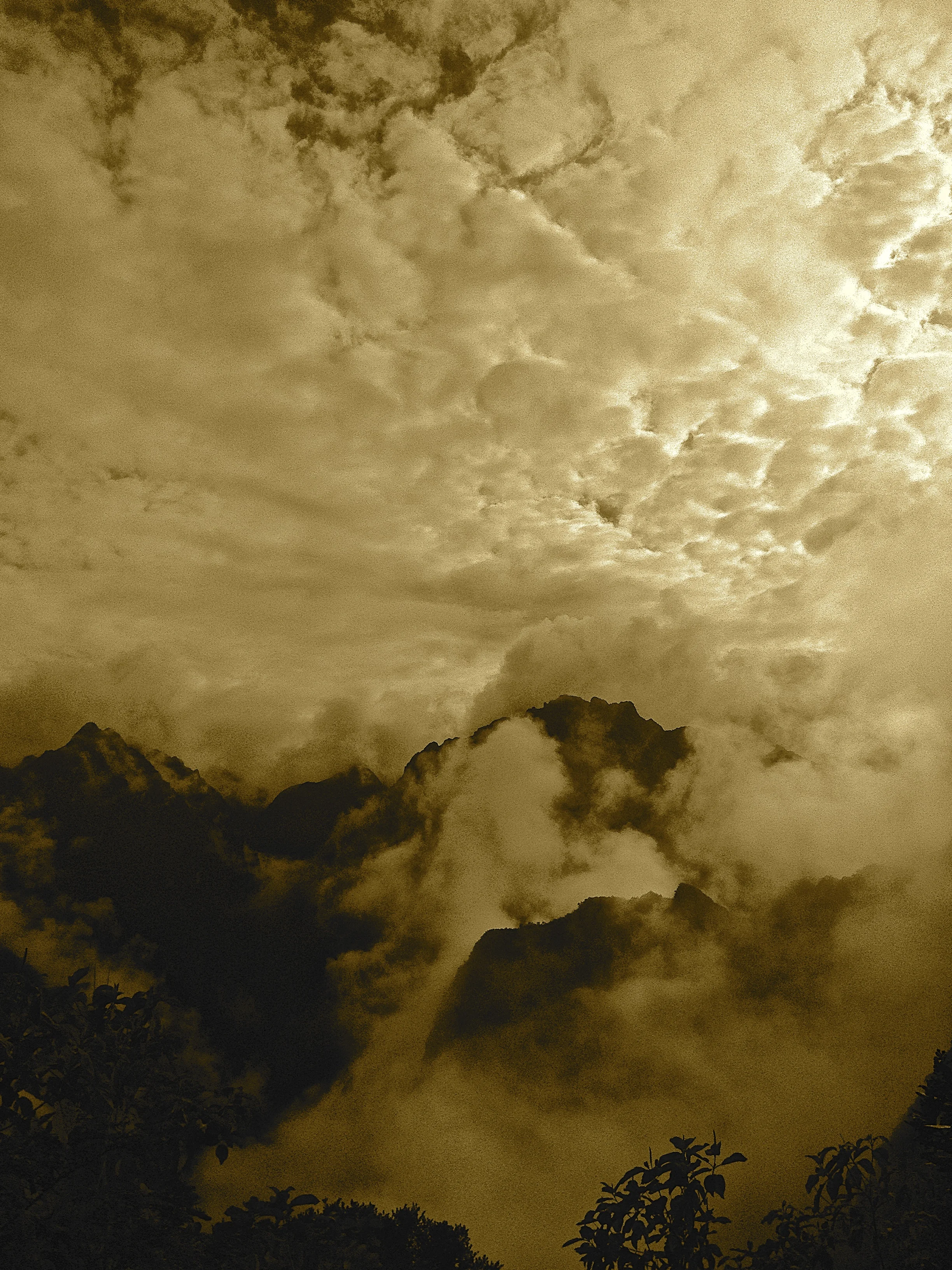 IMG_6020 - Version 2.jpg