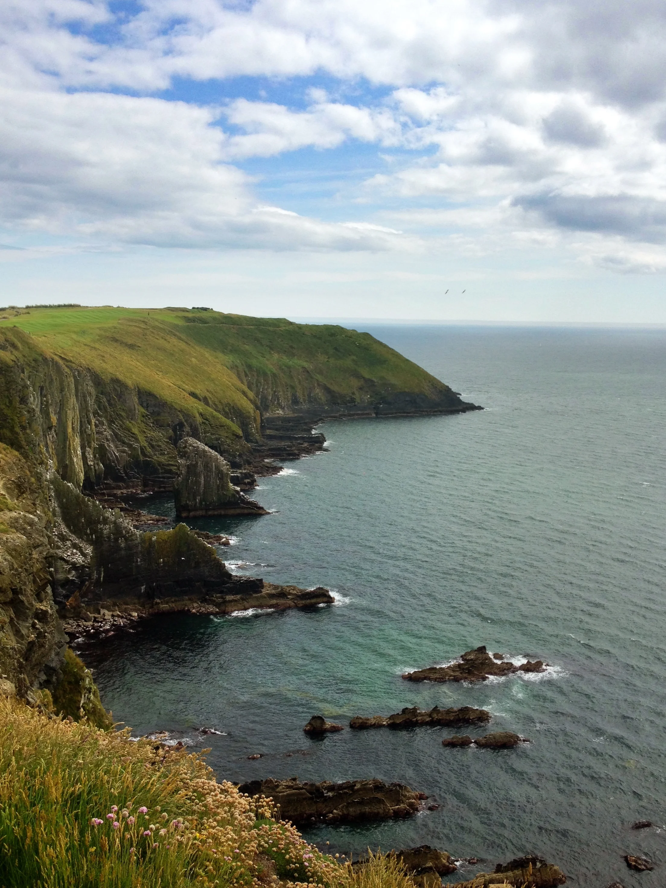 Old Head Cliffs, Kinsale Ireland