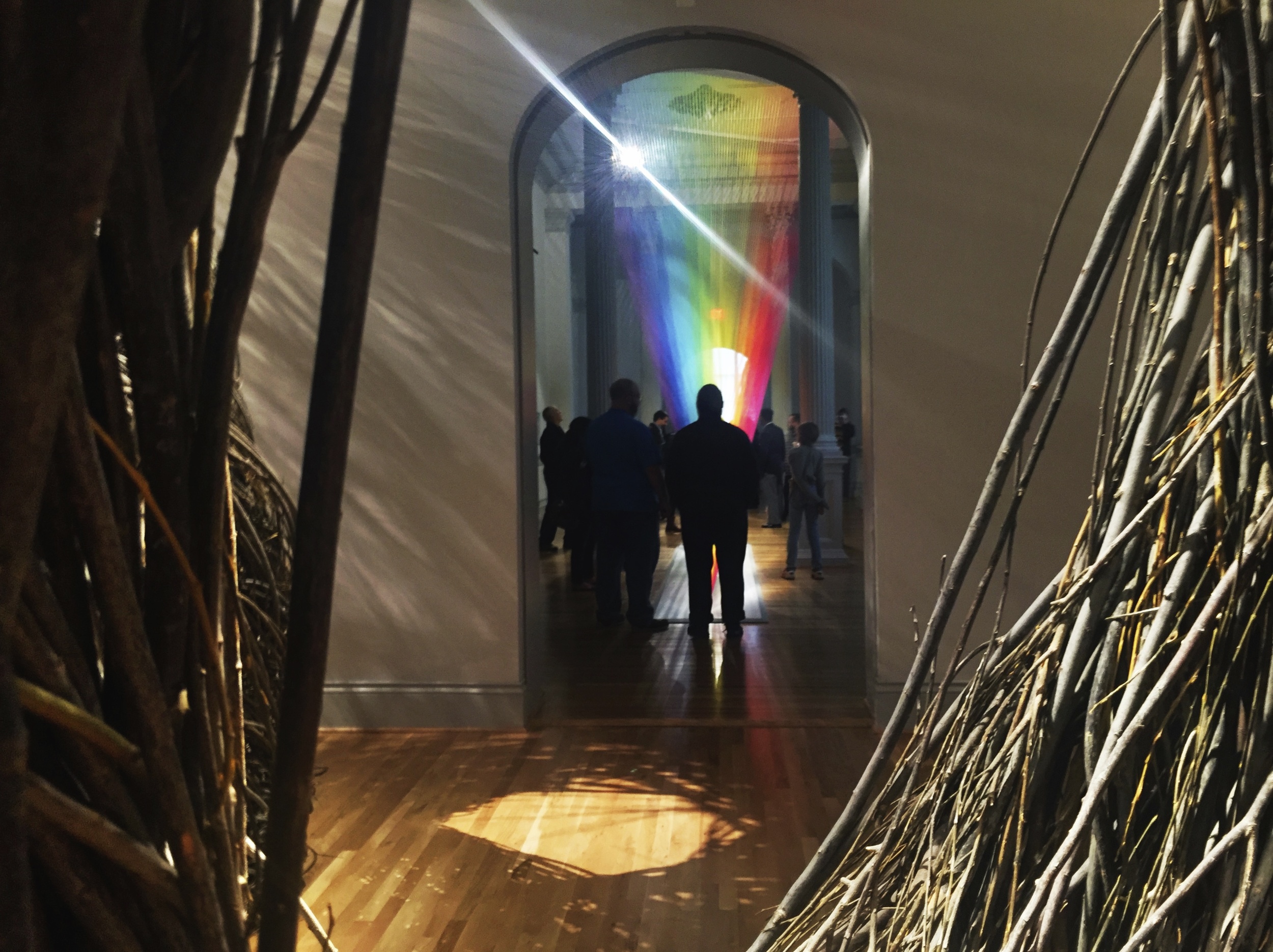 Renwick Gallery: WONDER: Opening Exhibit Patrick Dougherty