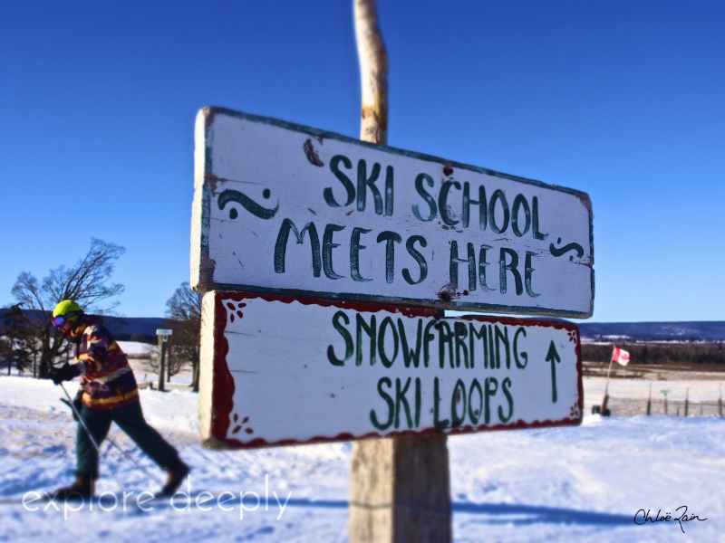 Whitegrass Ski Touring Center