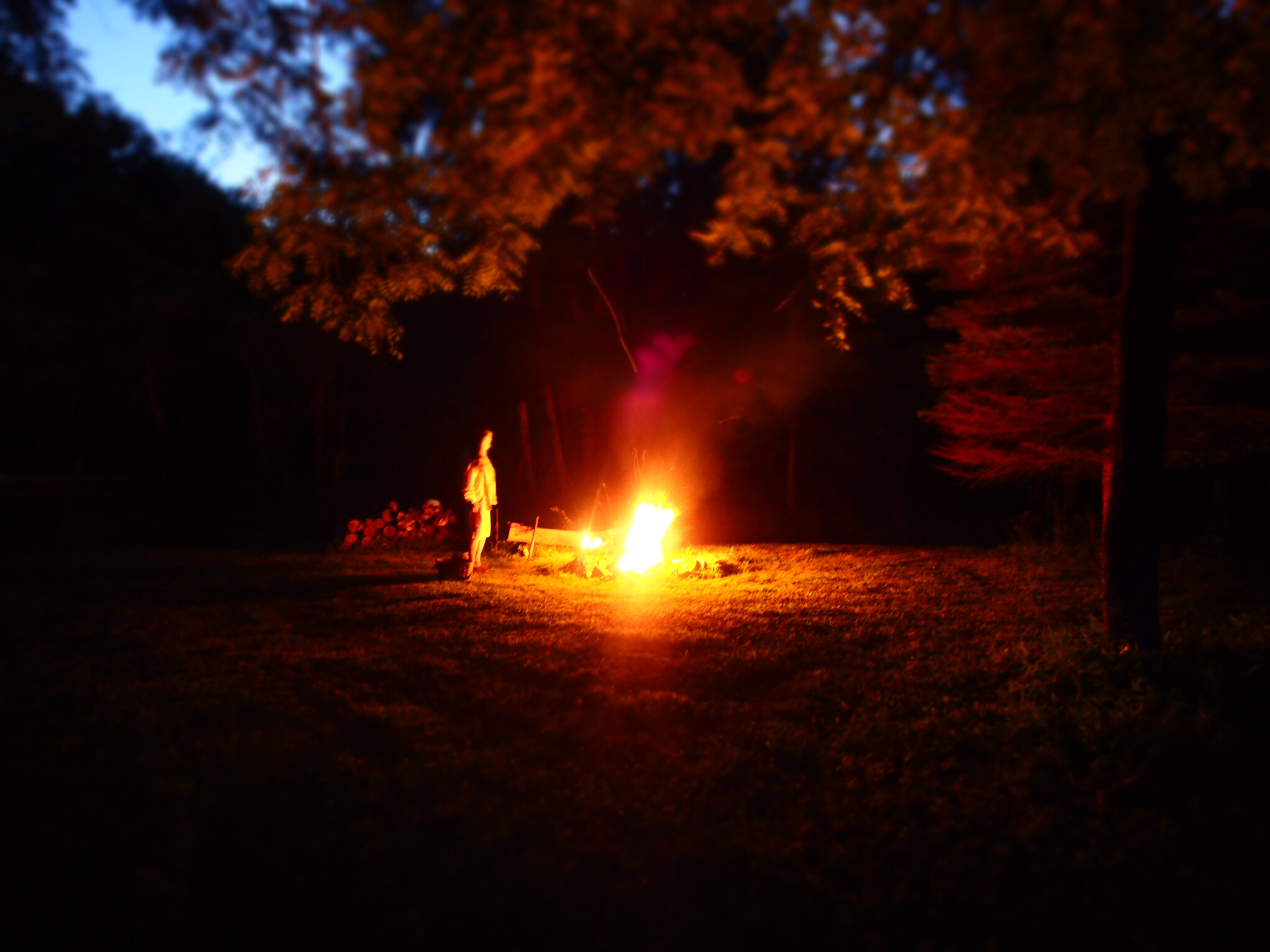 Another Full Moon Fire Ceremony, my mother tending the fire under the great Black Walnut Tree.