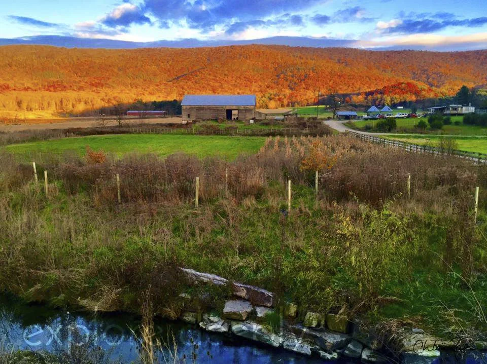 Returning home to Virginia, to a beautiful fall.