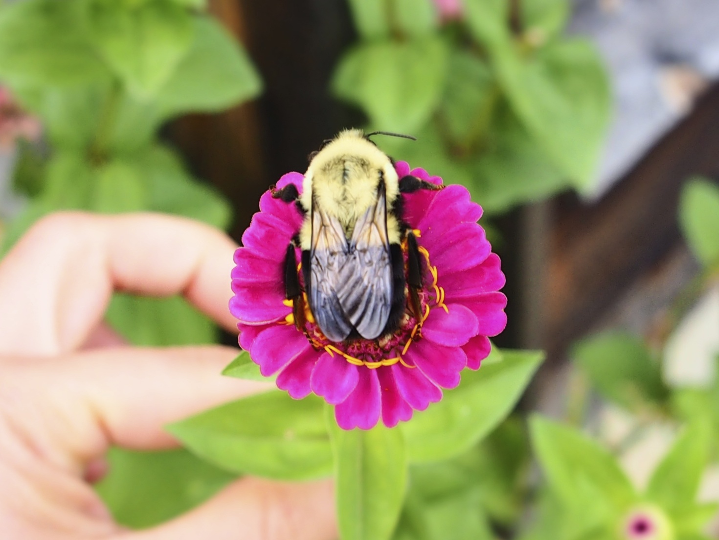 Get UpClose and Personal with Nature