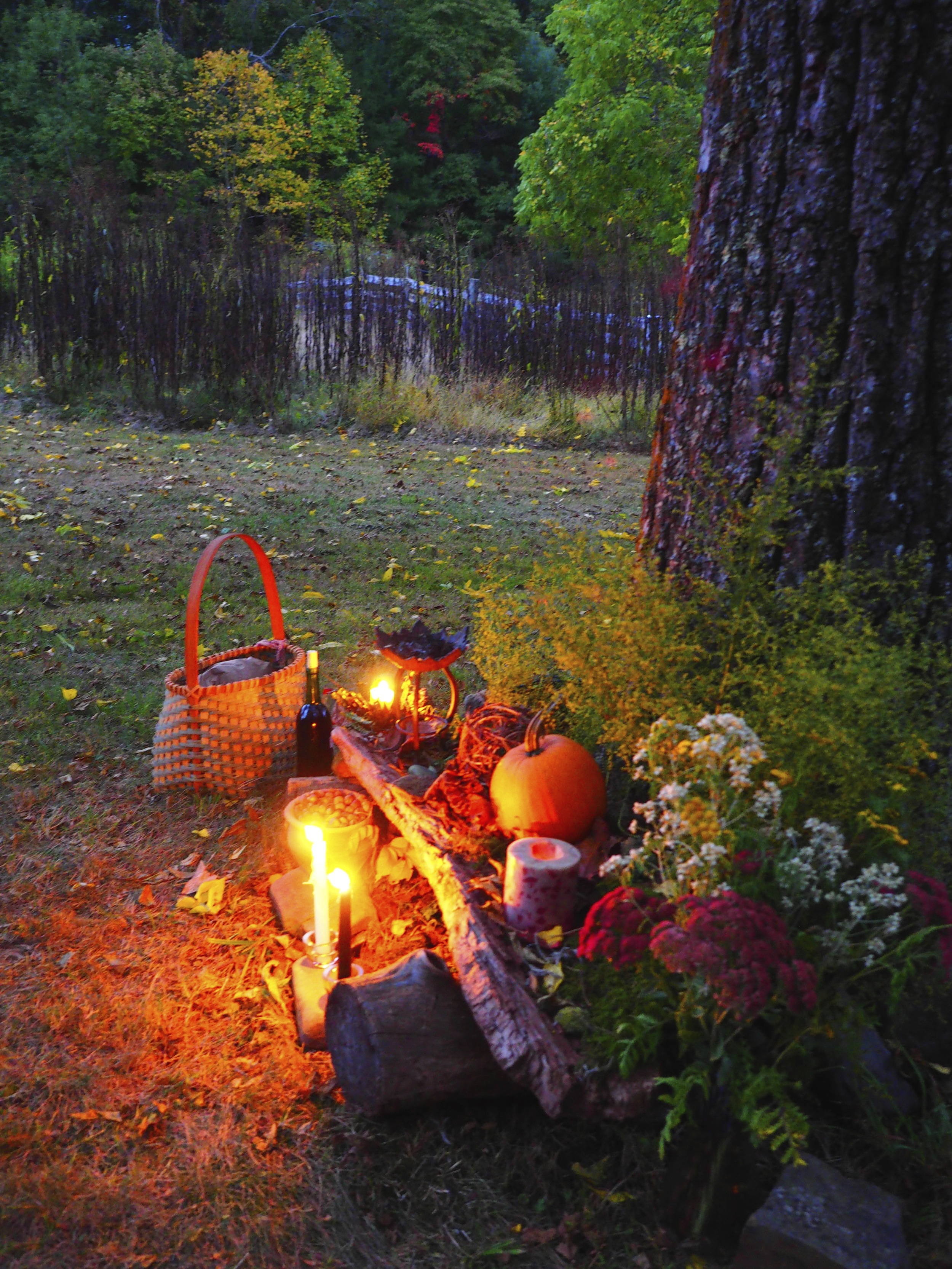 Offerings Under the Walnut Tree