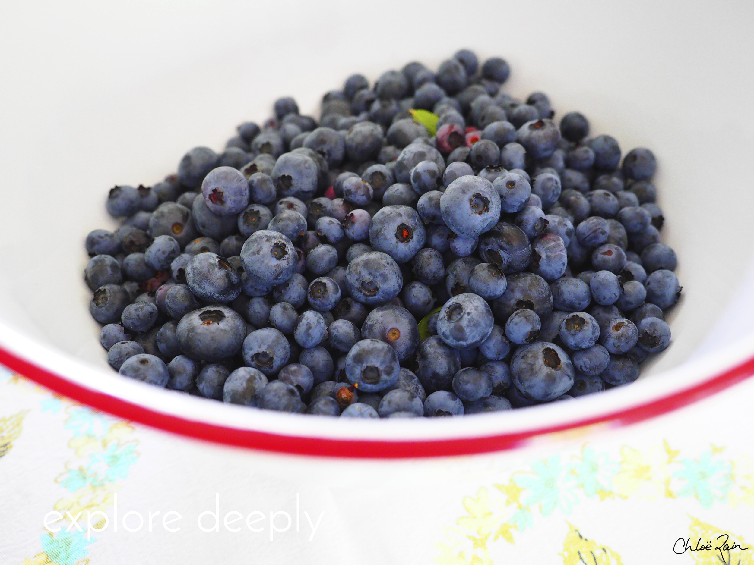 Abundance of Goodness, fresh blueberries from the garden (Copy)