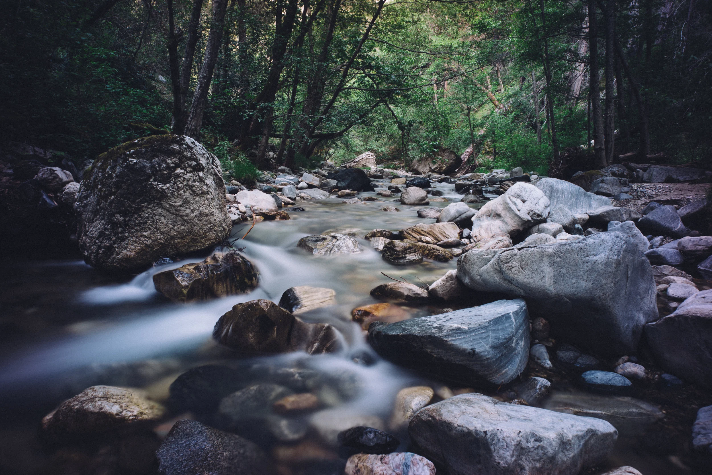 A flowing mountain stream surrounded by rocks and lush green trees in a forest.
