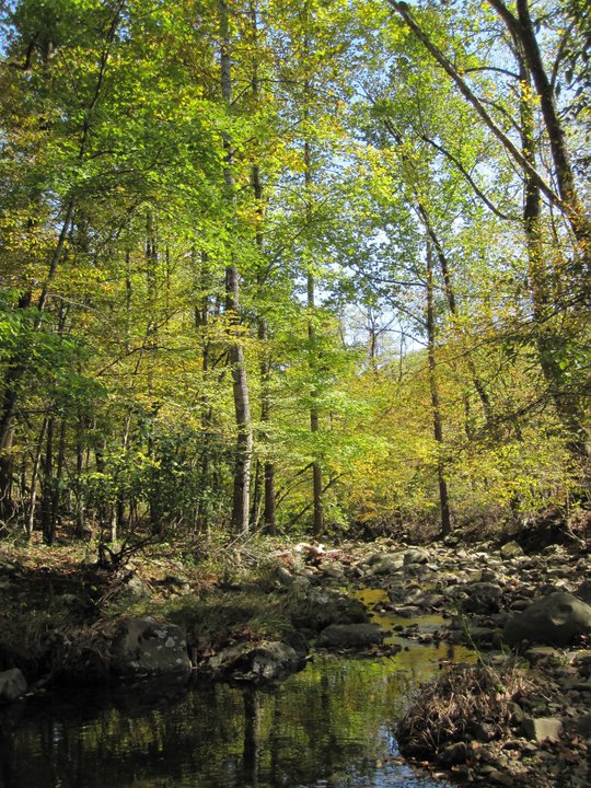 The stream that goes through the property