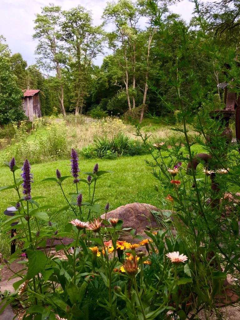 The view from the screened in porch in Summer time.