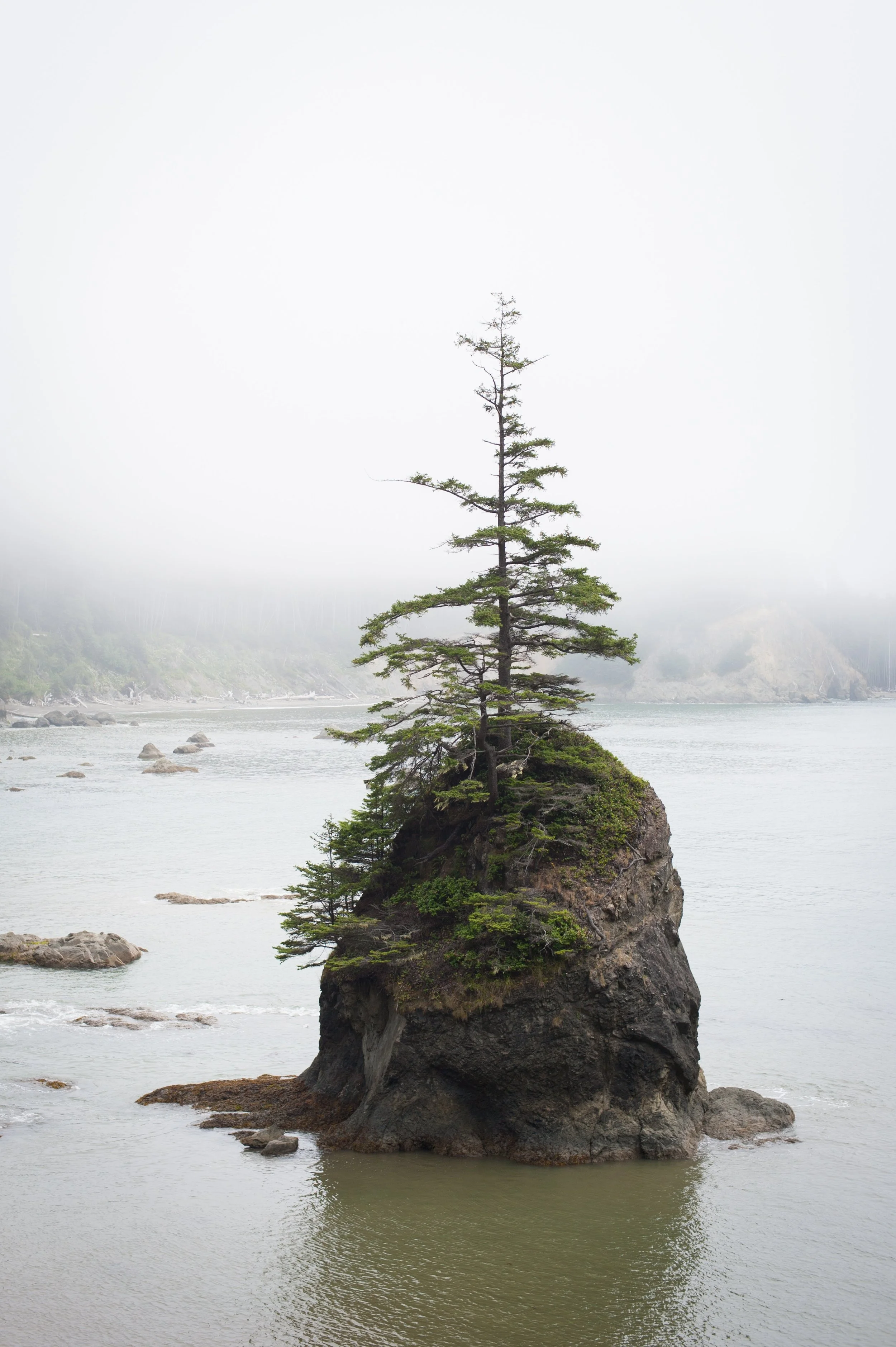 barrie-johnson-351480-unsplash.jpg