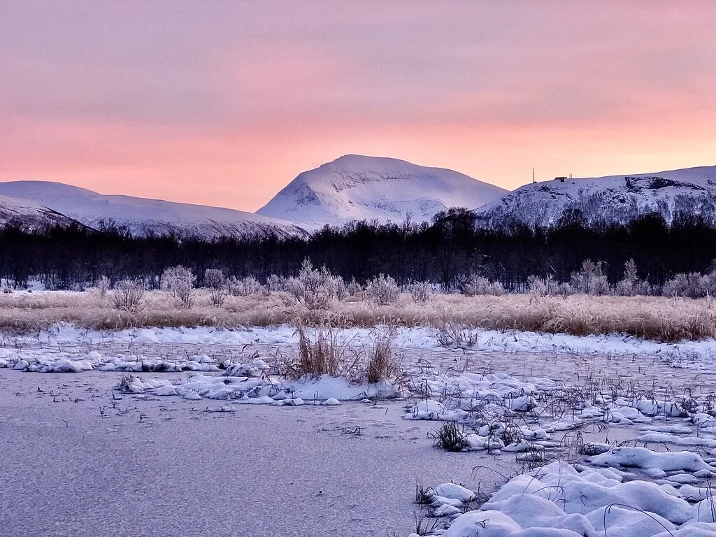 Not Everything Means Something