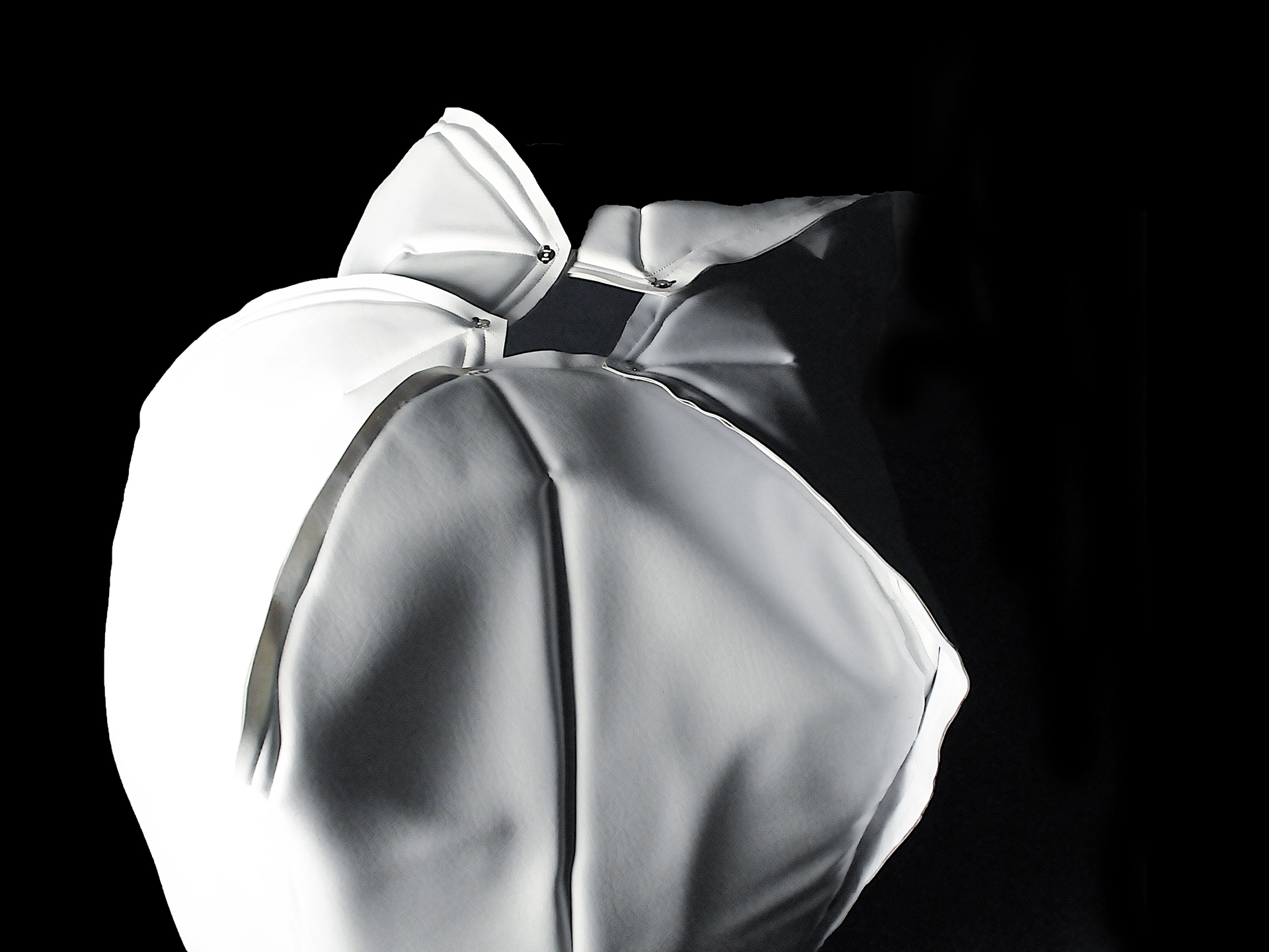 Lotus Banner.png