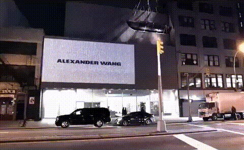 Alexander Wang: Wang Squad