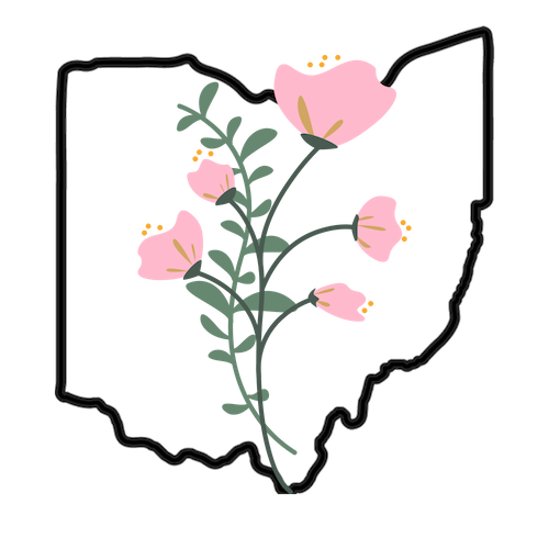 Ohio Women's Alliance