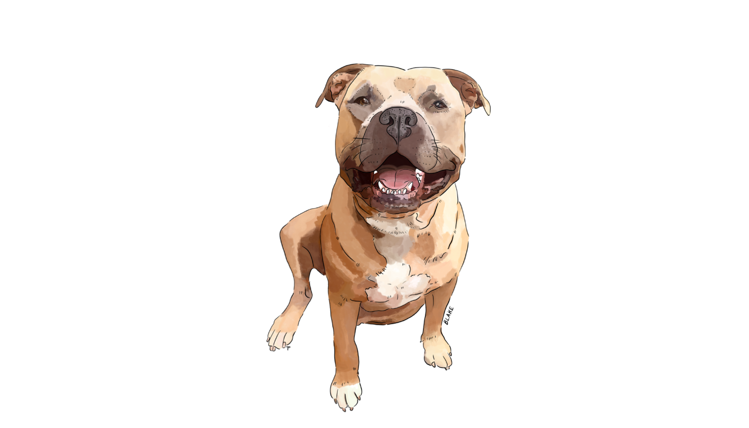 Image-Structure-RoadDogs-18.png
