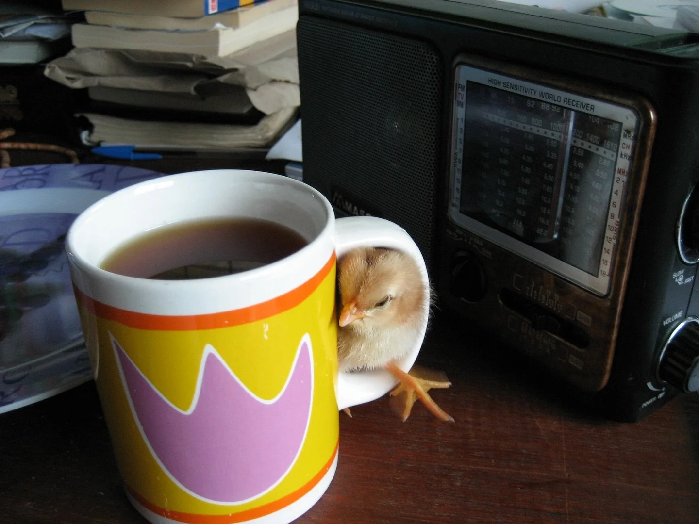 Time Capsule Tuesday&hellip; 😂
So Luke left his well paying but slightly boring career in corporate viticulture for a year volunteering in the Solomon Islands&hellip; 🇸🇧 
Over 2006-2007 he lived and worked on the island of Malaita at Airahu Rural 