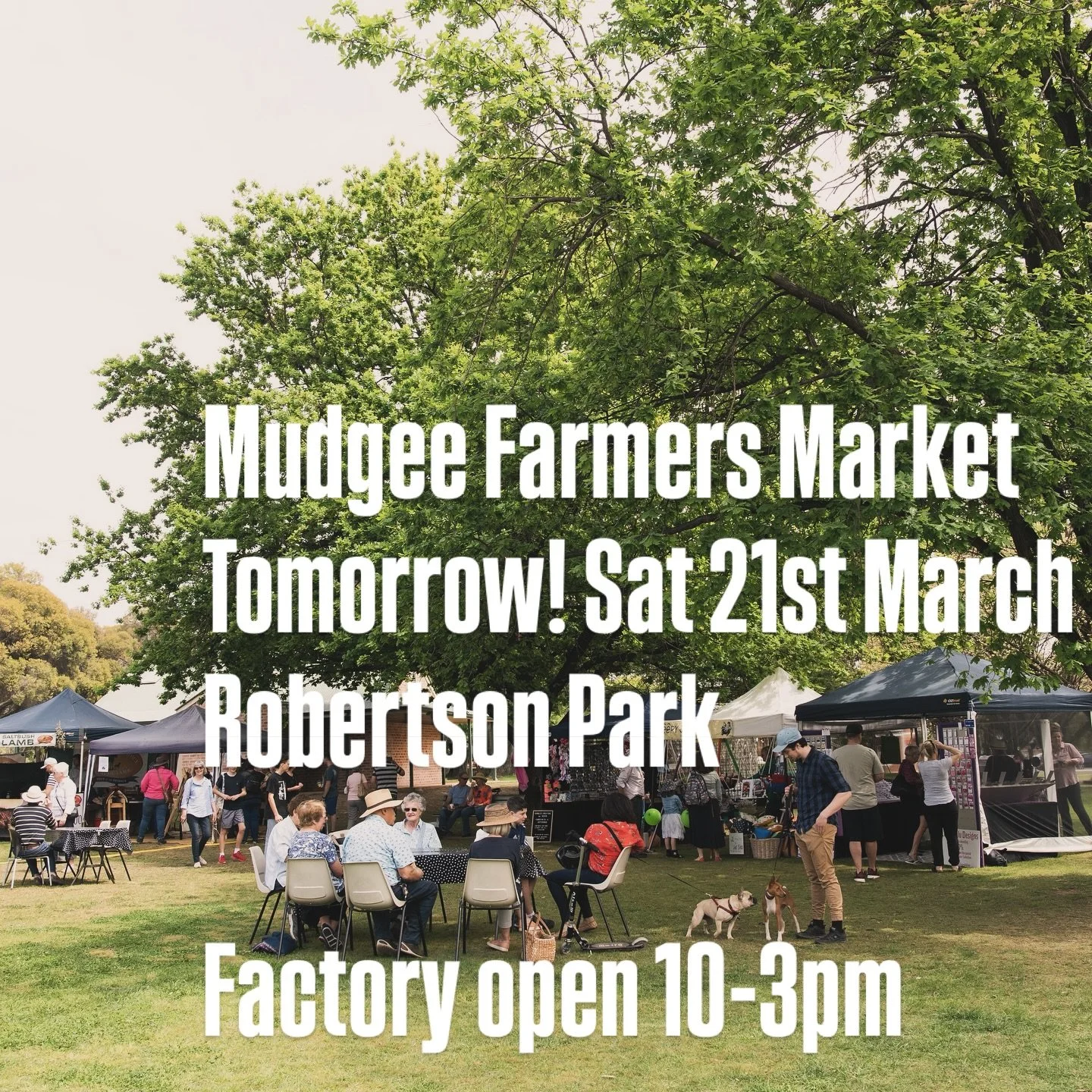 &lsquo;Tis the season for rabbit shaped chocolate 🐇🤎
🌳 You&rsquo;ll find the chocolate maker at the @mudgeefarmersmarket tomorrow morning with our boxed dozen bunnies🌳 
🏭 Factory open also from 10-3pm 🏭 
@ambercreative 📸 
#chocolatemaker #sing