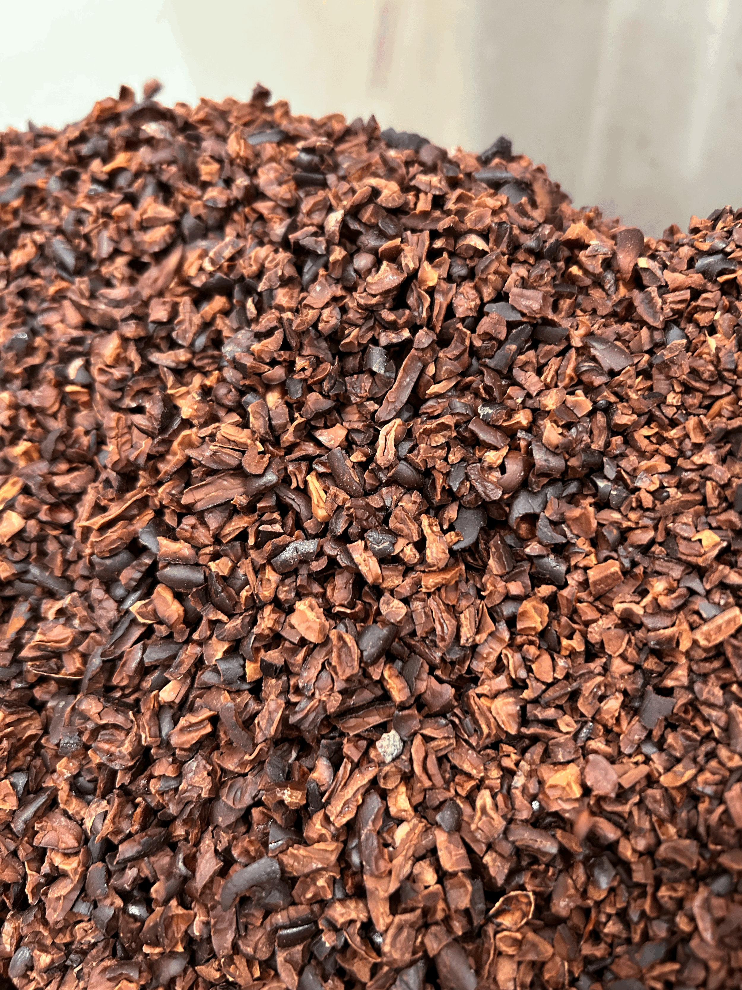 Vanuatu Roasted Cocoa Nibs