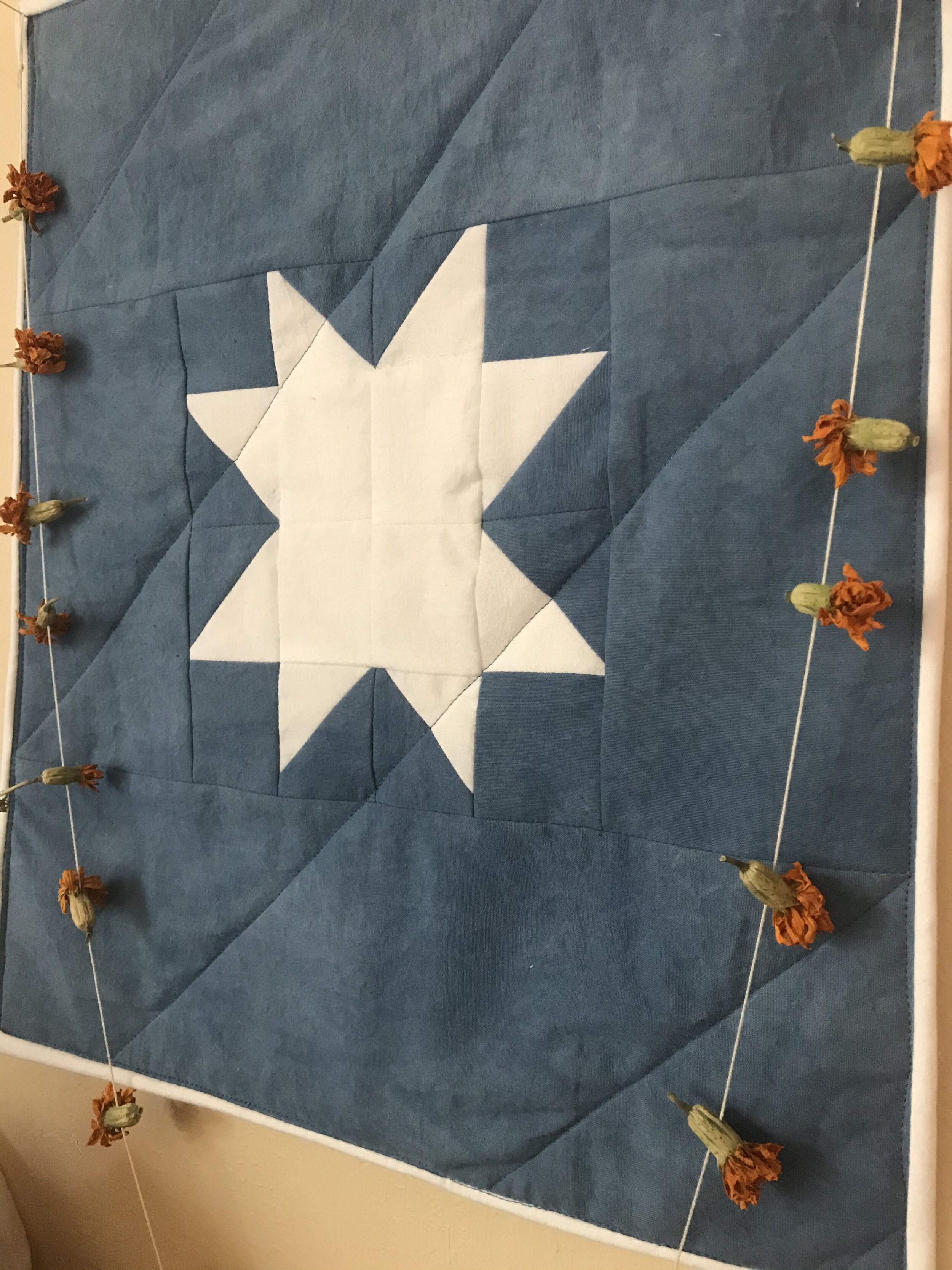 Indigo Lone Star. 2020