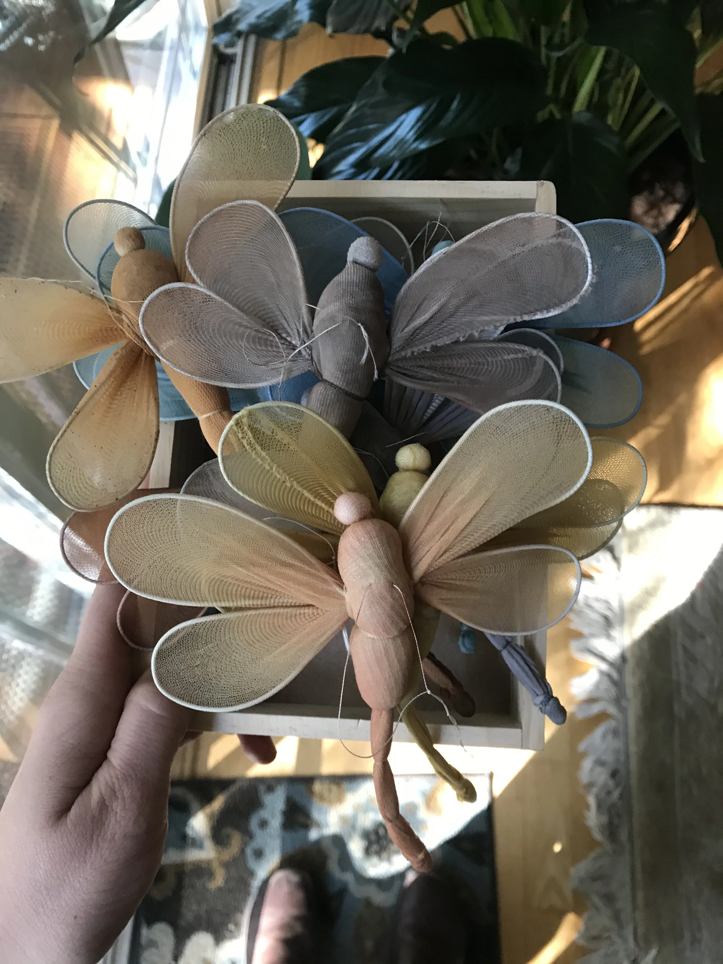 IMG_5432.jpeg