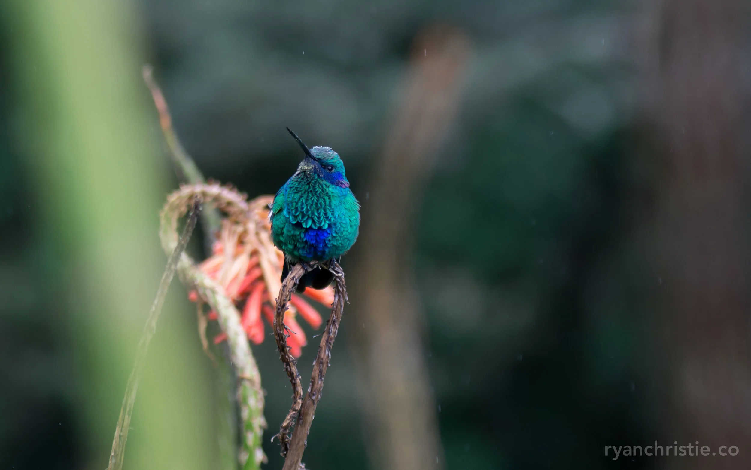 DSC_0656.jpg