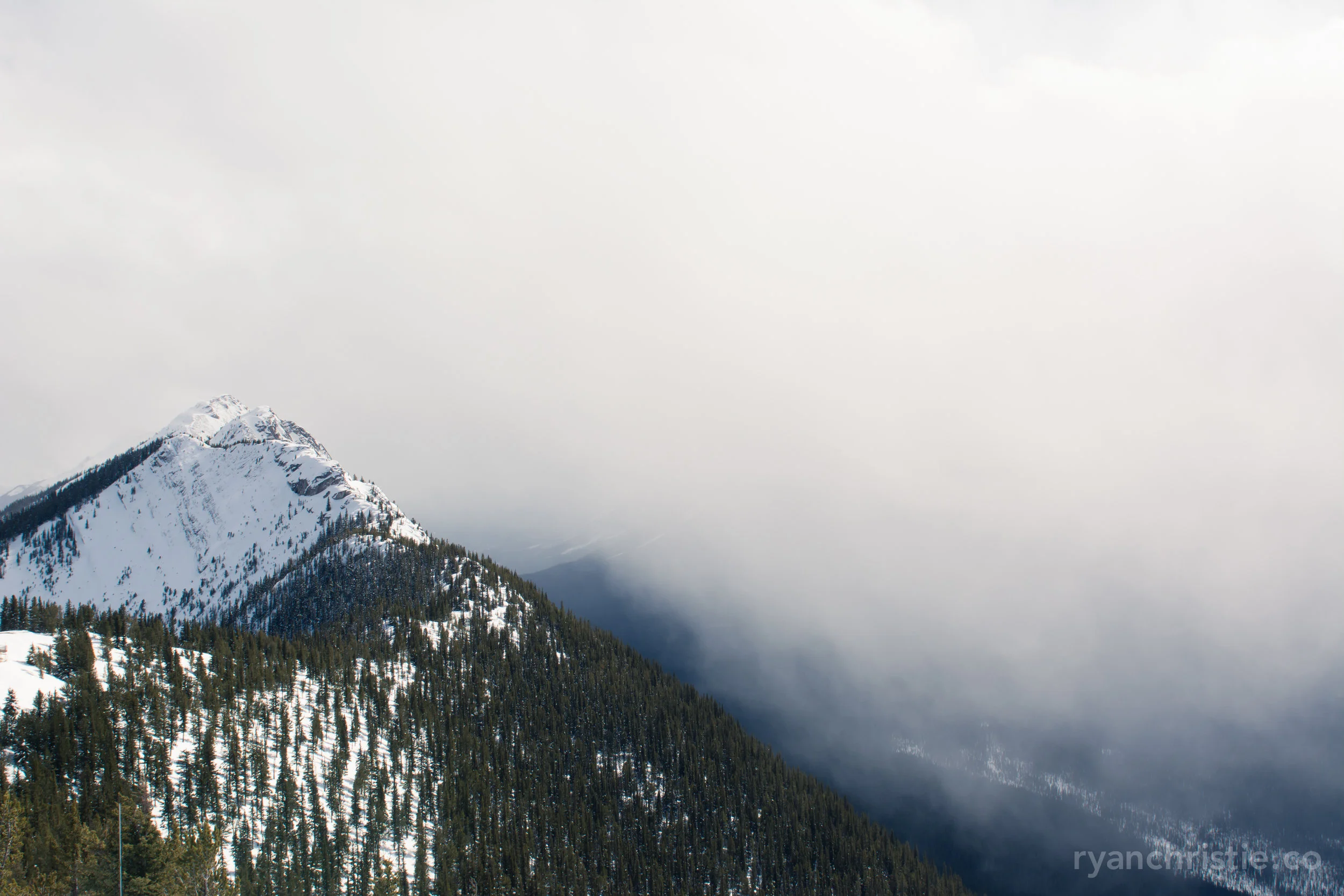 DSC_0701.jpg