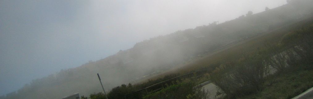 fog1.jpg