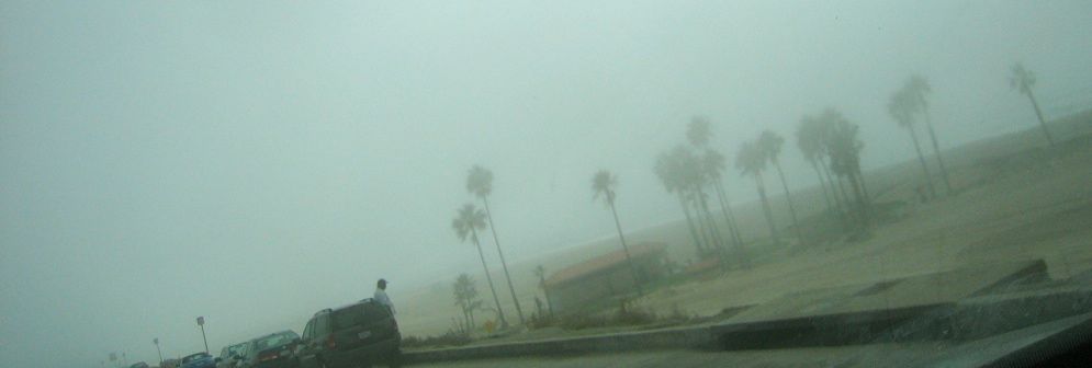 fog3.jpg