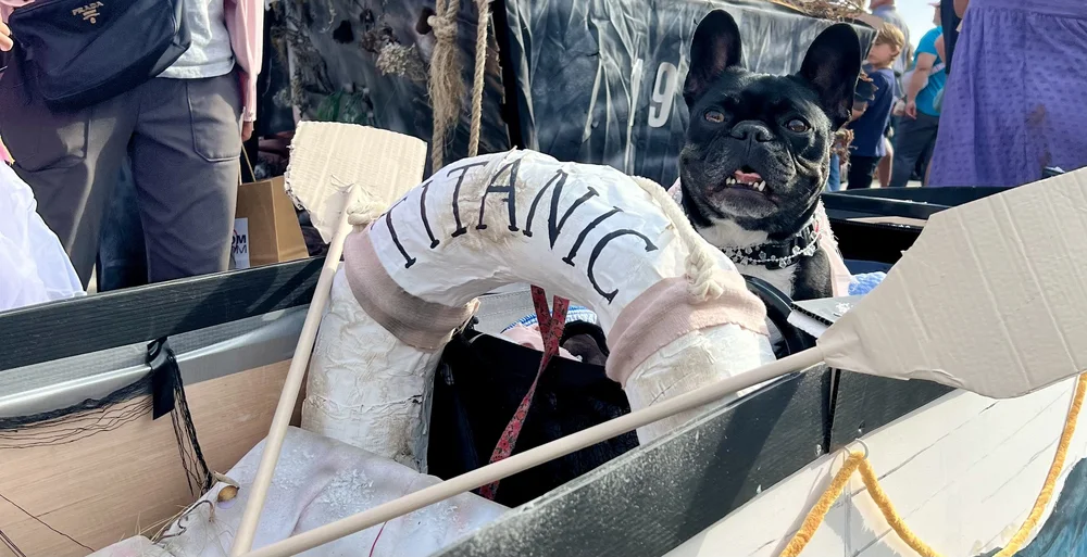 haute_dog_parade_jonberrydesign_motion_design2.jpeg