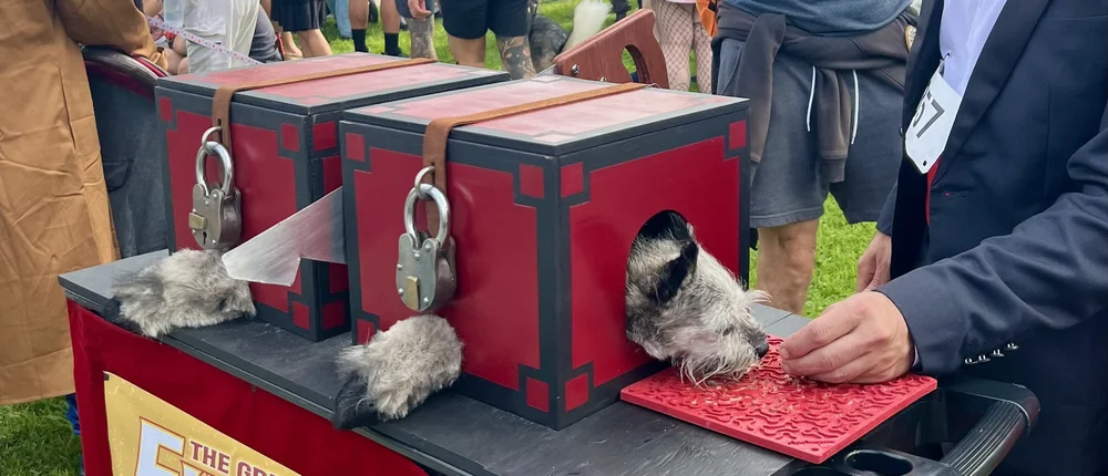 haute_dog_parade_jonberrydesign_motion_design3.jpeg