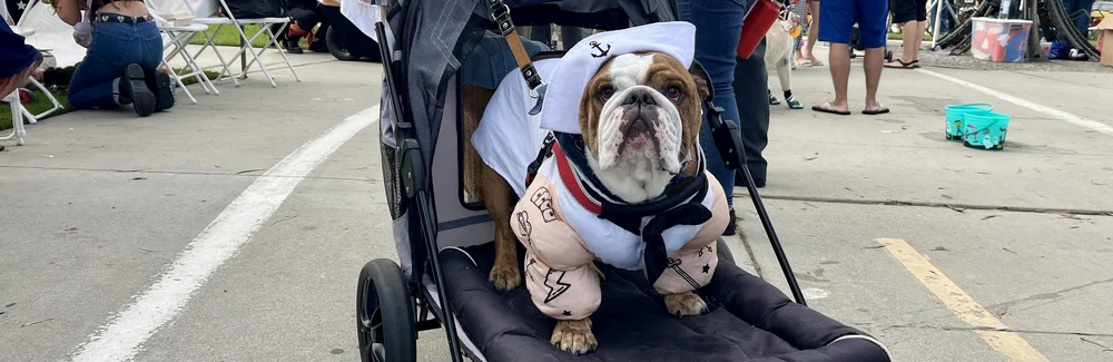 haute_dog_parade_jonberrydesign_motion_design8.jpeg