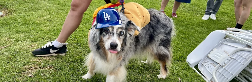 haute_dog_parade_jonberrydesign_motion_design9.jpeg
