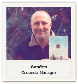 sandro.jpg