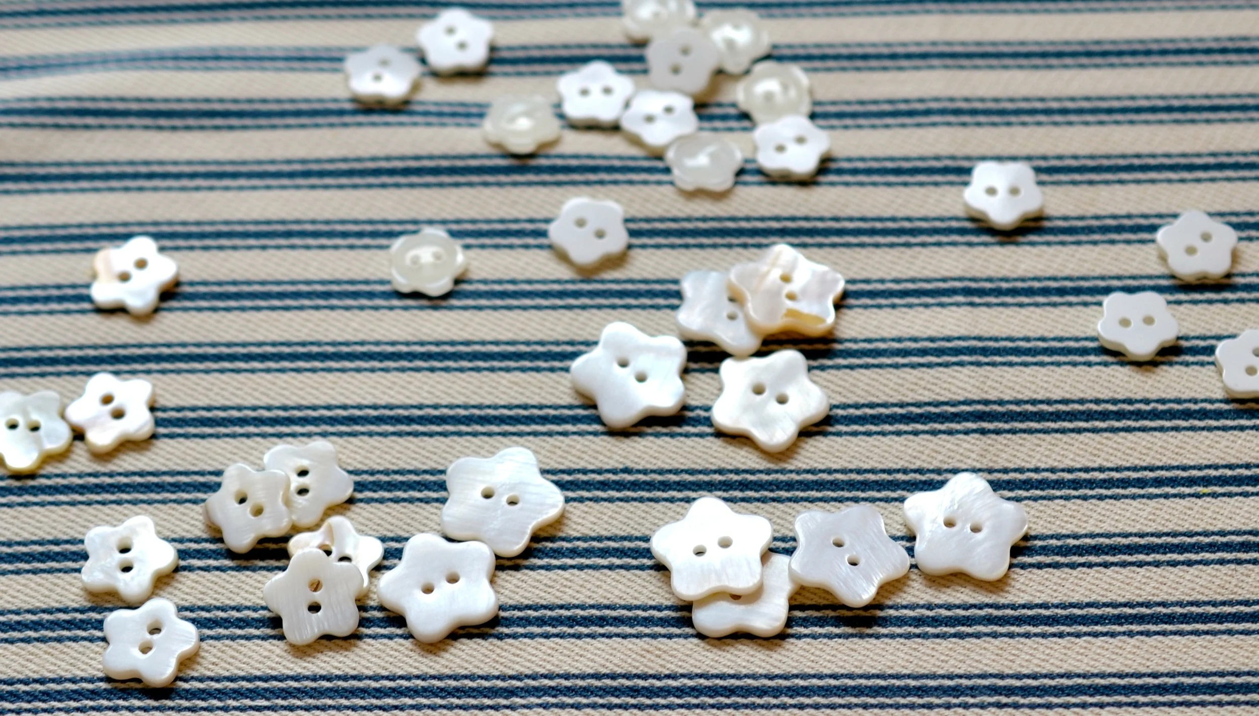Flower Buttons1.jpg