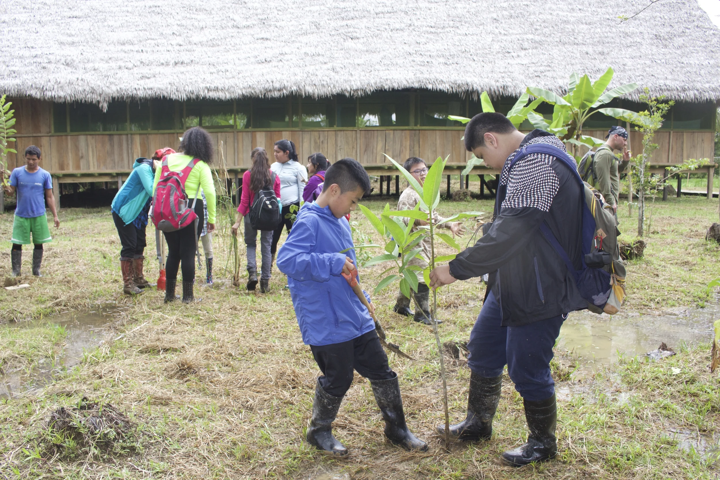 Digging holes for the fruit trees and medicinal plants
