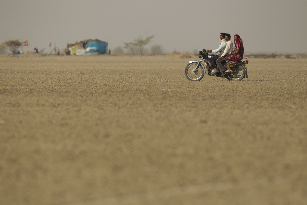 Saltpan commuters, Little Rann of Kutch, Feb 2011