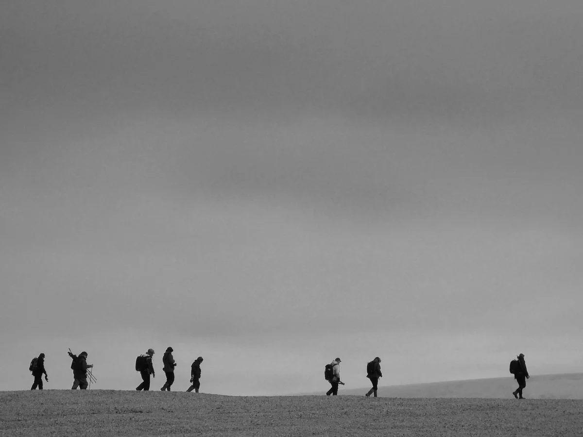 Polar Desert, Nordaustalndet, July 2012