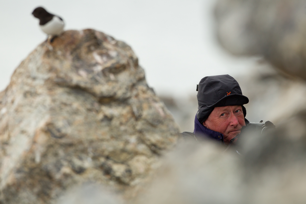 Colin Helliwell and Little Auk, Fugelsongen, July 2012