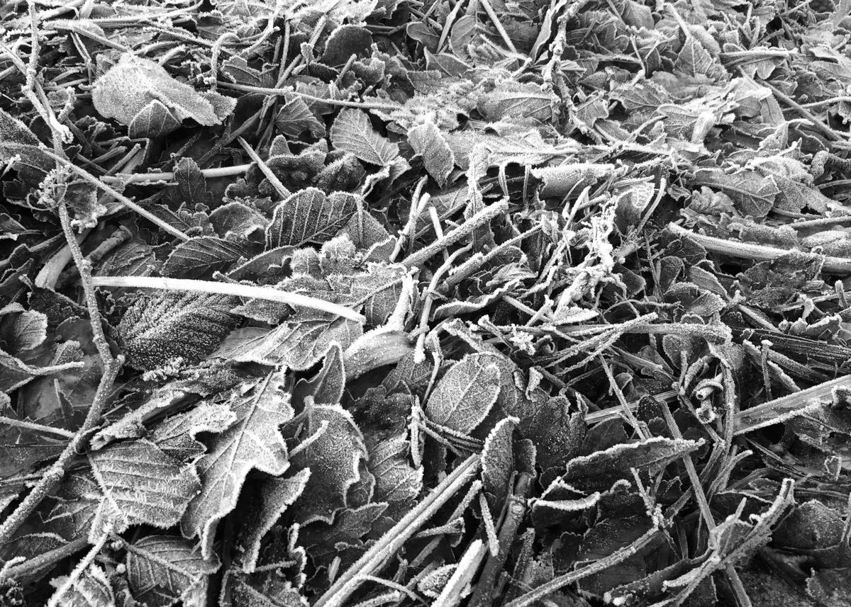 Frozen debris on the riverbank, a product of the recent storms.