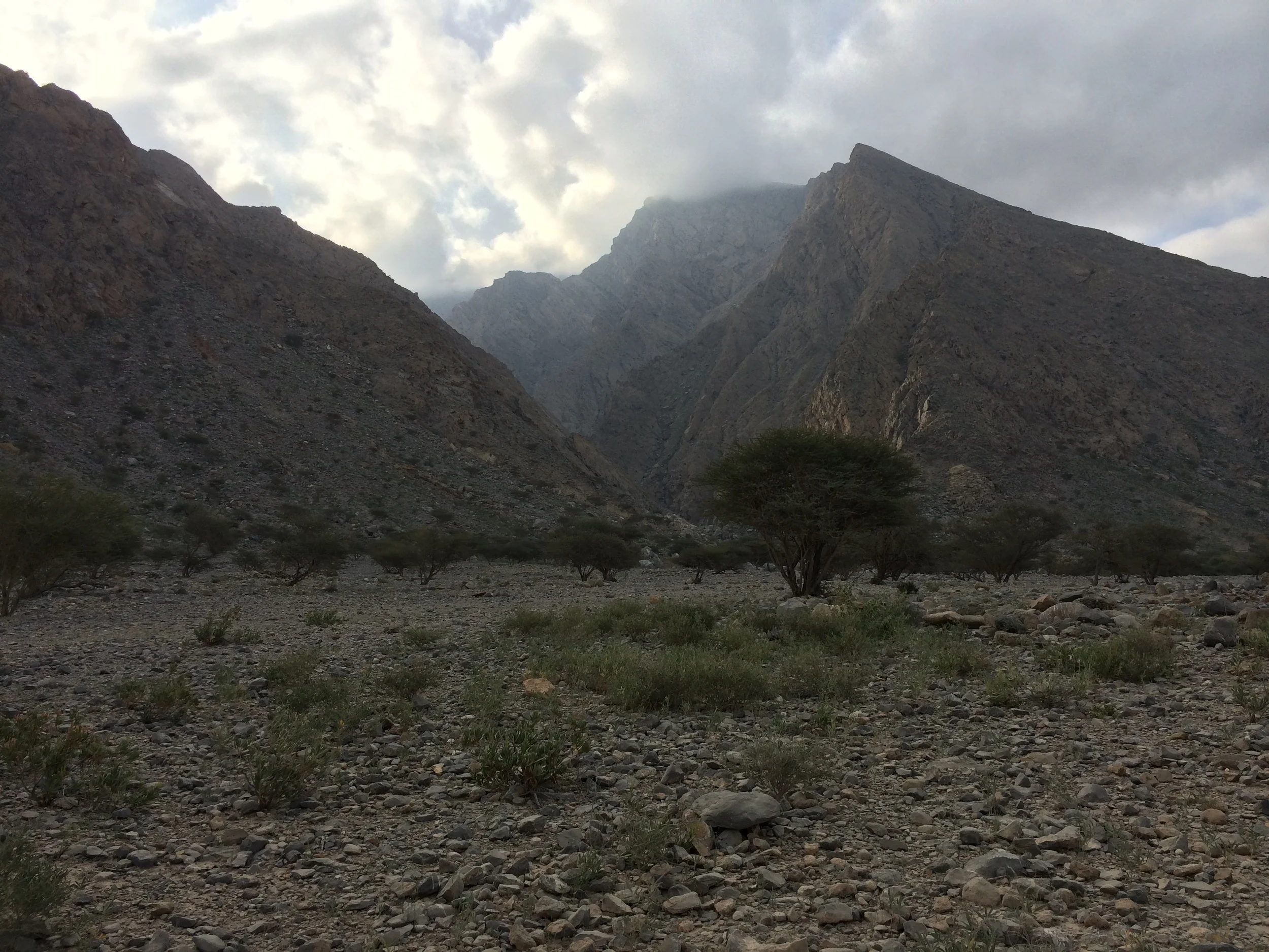 Al Hajar Mountains Feb 2014