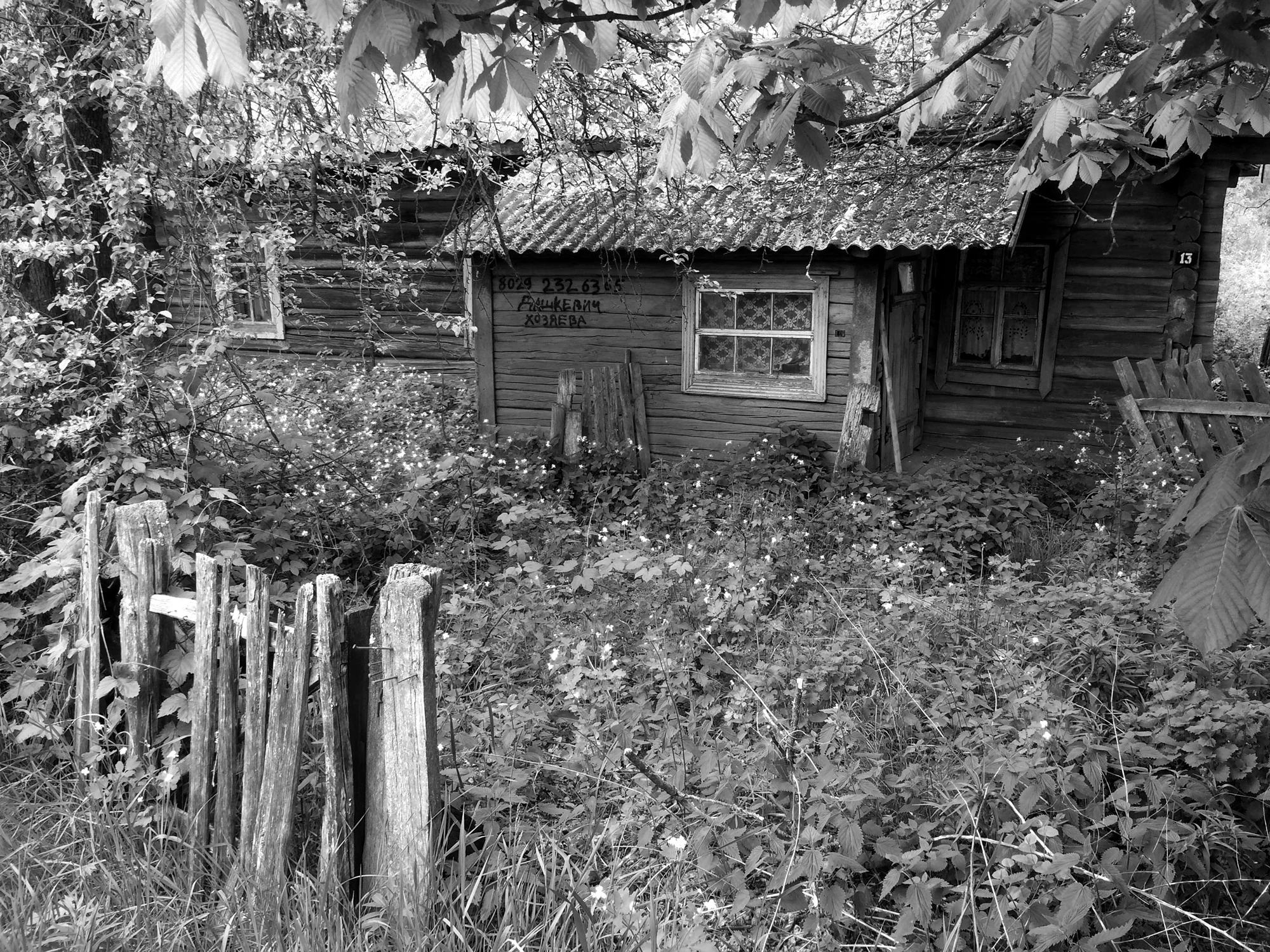 Abandoned war veteran's cottage, Pripyatsky NP. May 2015