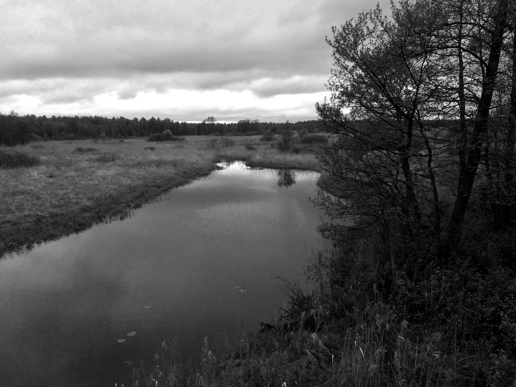 Berezina River, Belarus