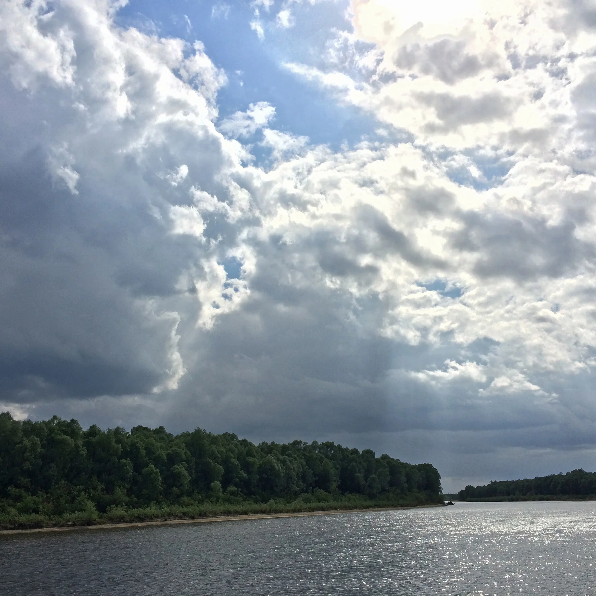 Pripyat River just upstream from Doroshevichy.