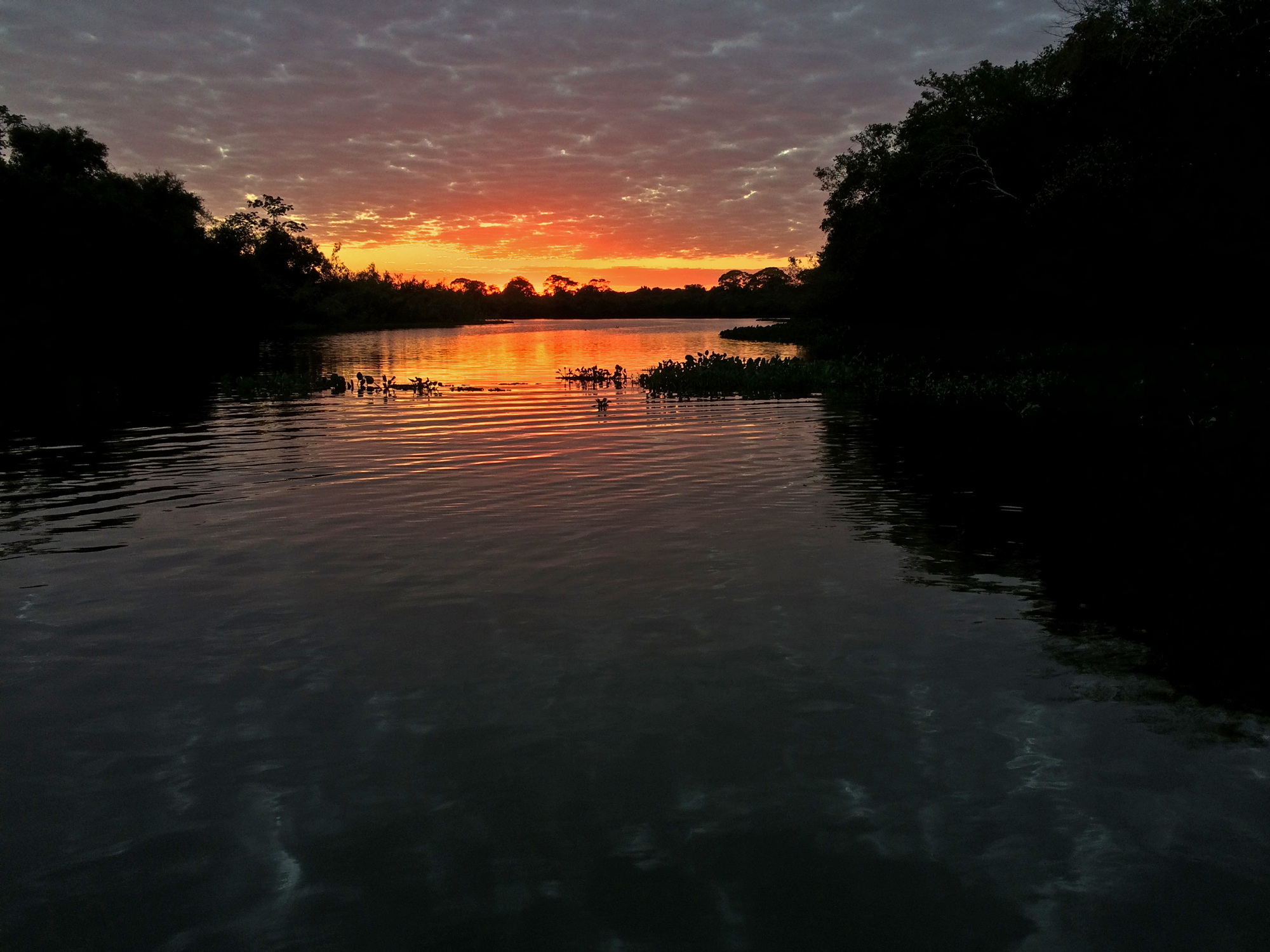 Pantanal sunrise. August 2015