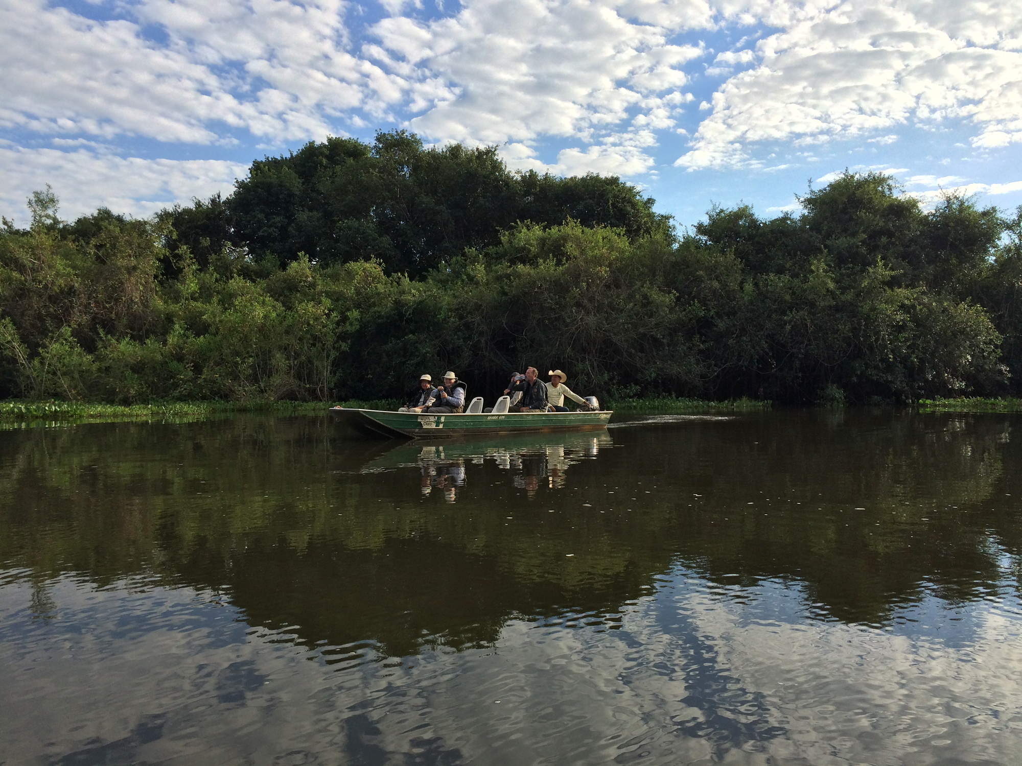 Rio Claro, August 2015