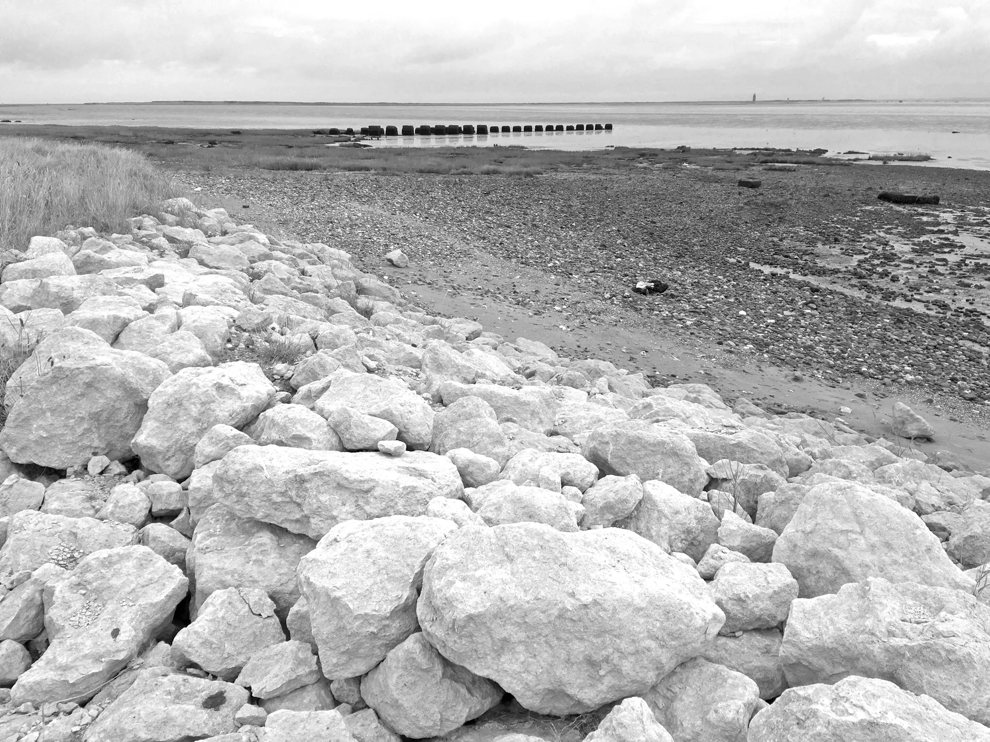The Humber shore from the Canal.