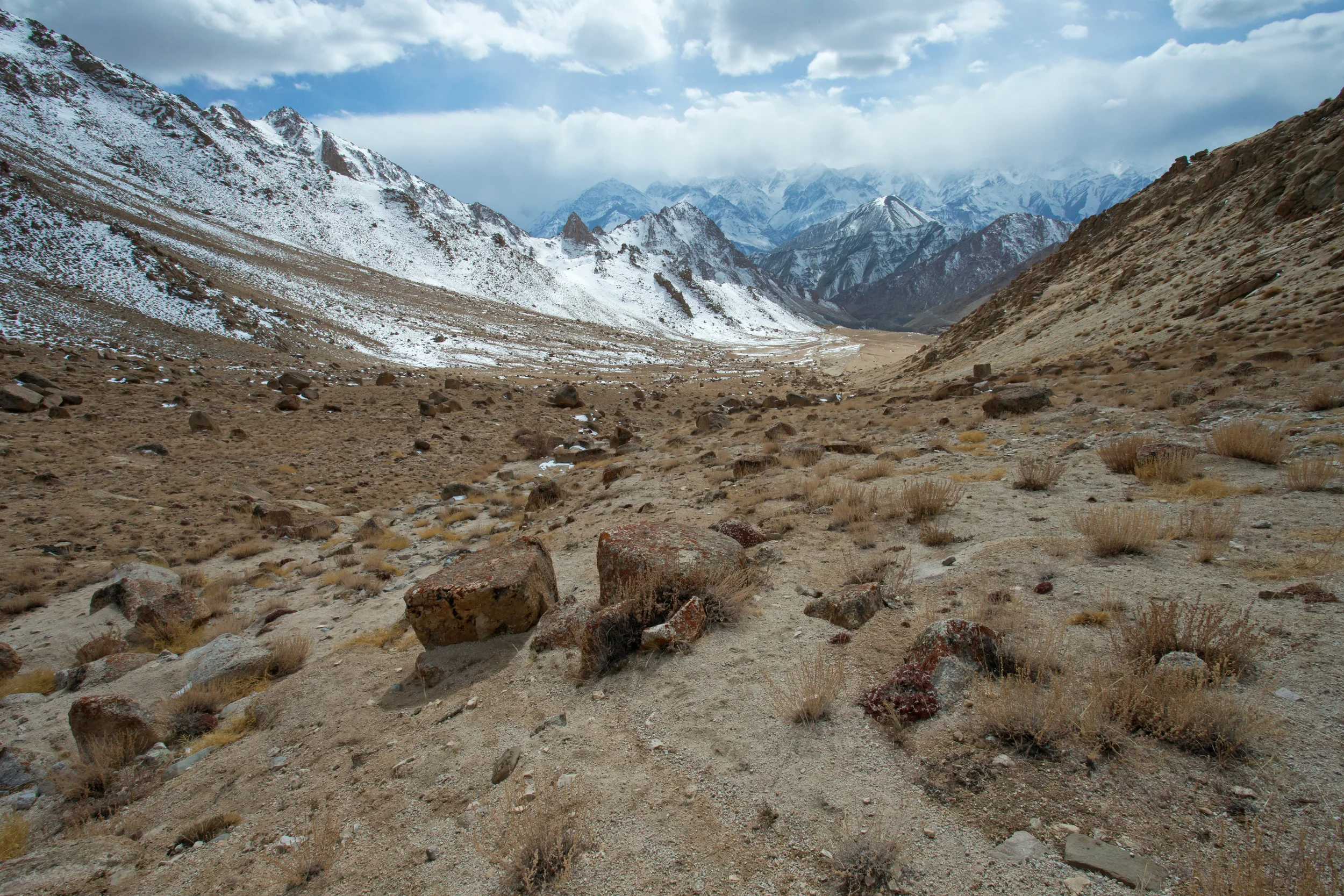 Ulley Valley, Ladakh March 2016