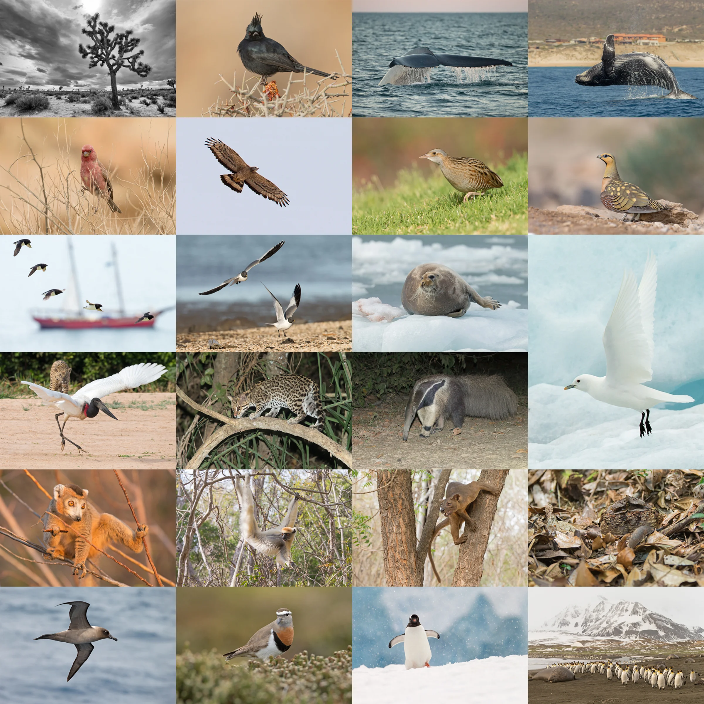2018 Highlights by Mike Watson