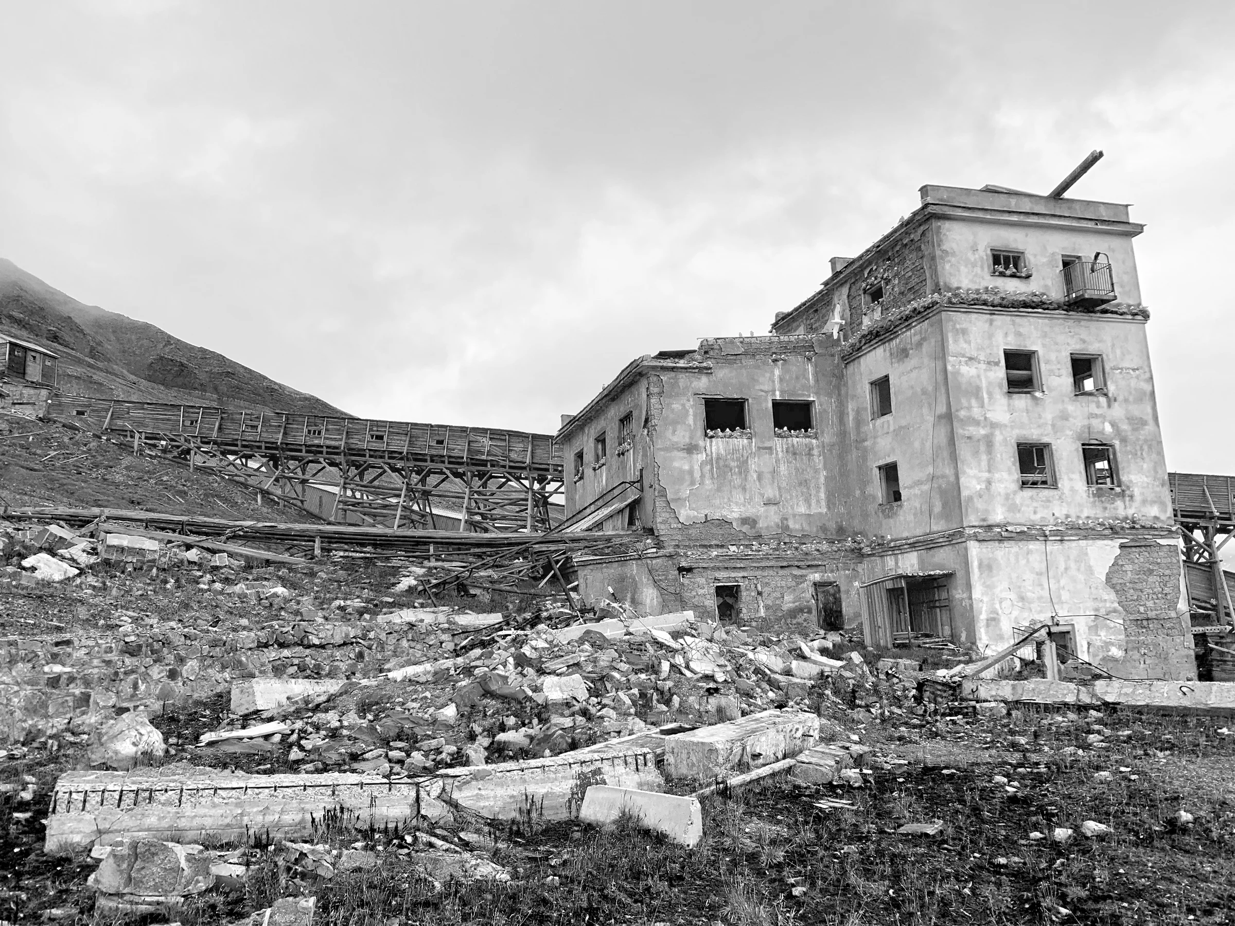 Kittiwake colony, Pyramiden (Mike Watson).