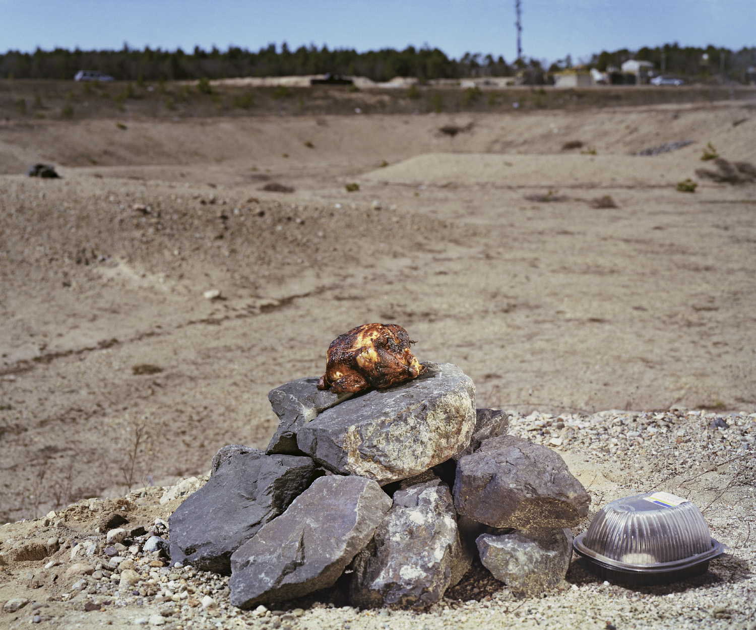  Rotisserie chicken on rock pile in route 44 median. Senior thesis. 
