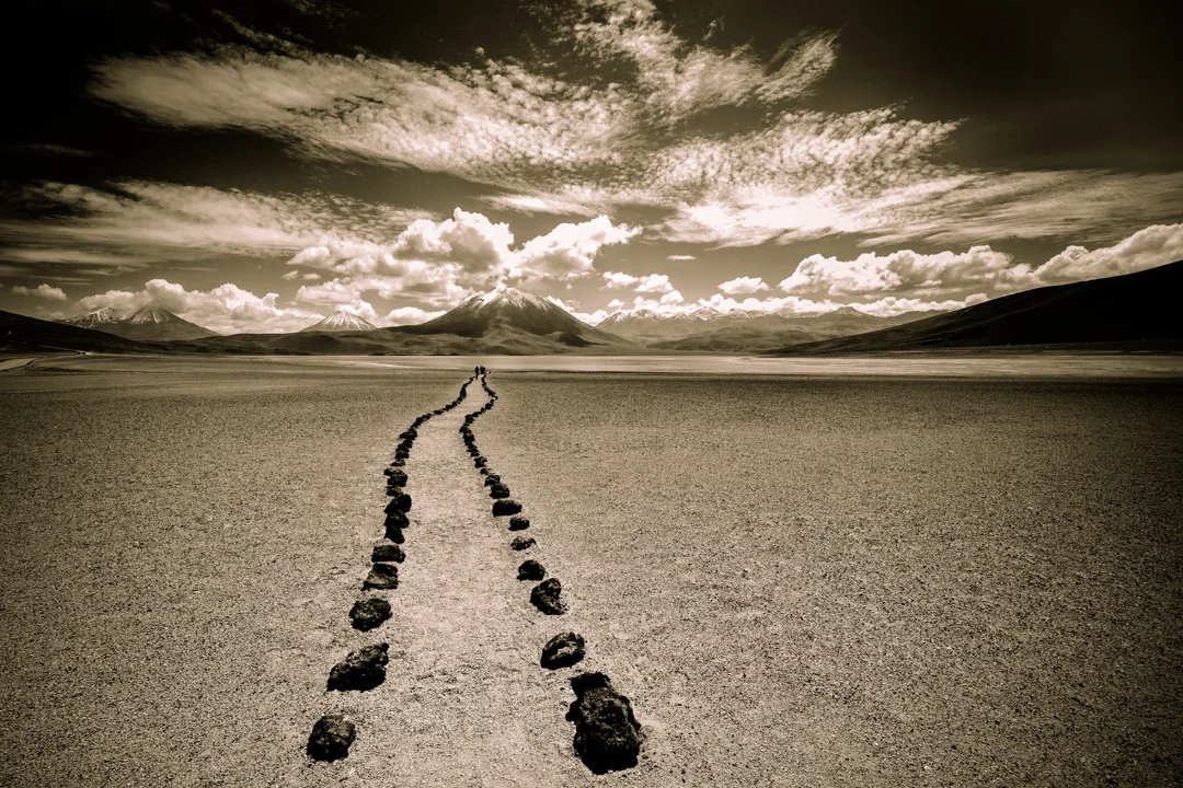 squarespace images-3.jpg